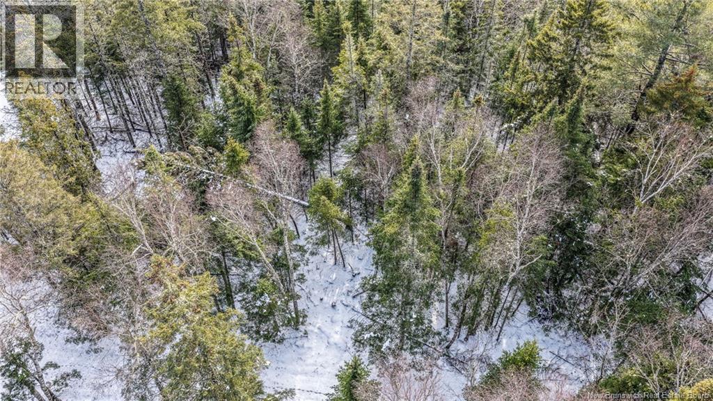 Lot Todds Point Road Property Photo 23