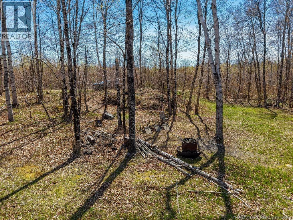 2016-2 Tay River Property Photo 6