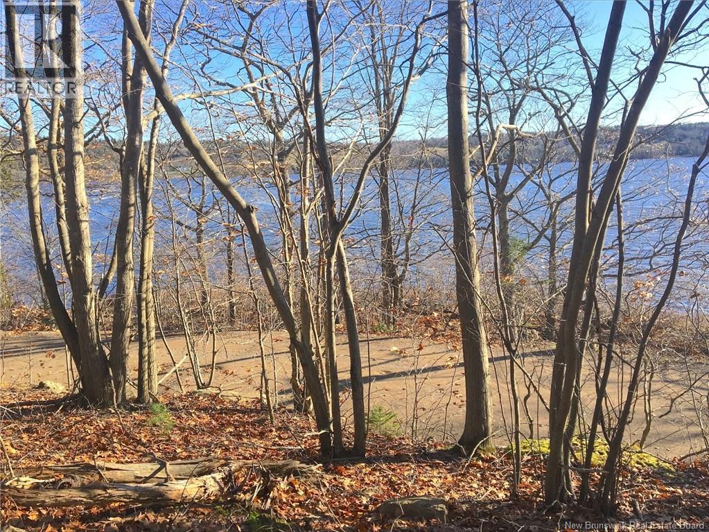 Norton Shore Property Photo 6