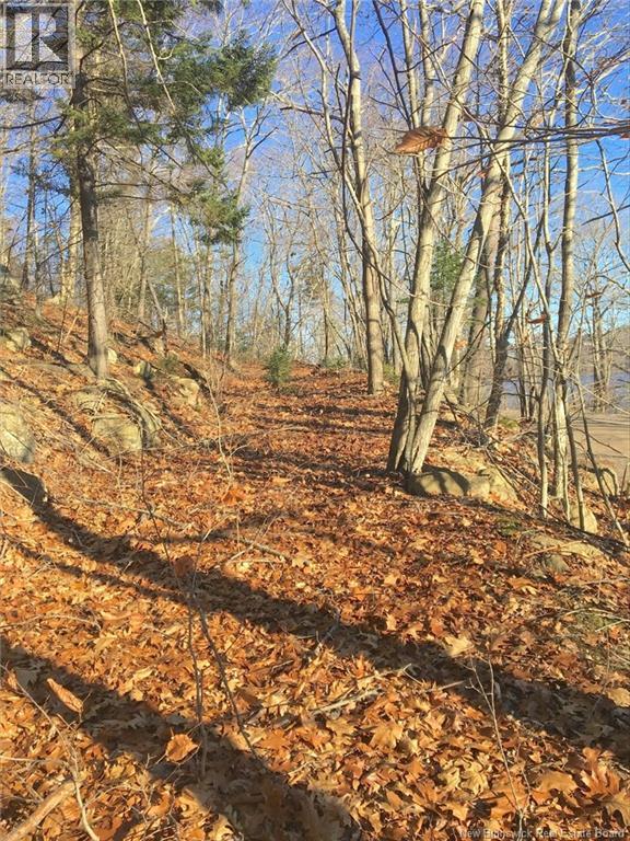 Norton Shore Property Photo 7