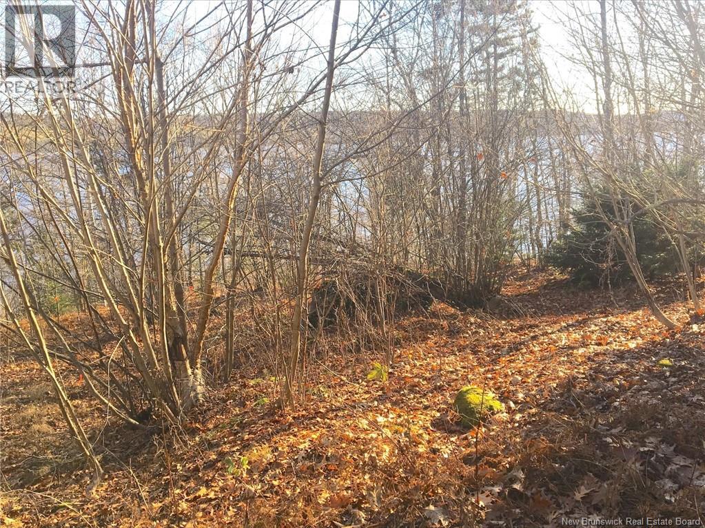 Norton Shore Property Photo 8