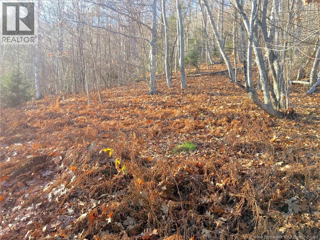 Norton Shore Property Photo 9