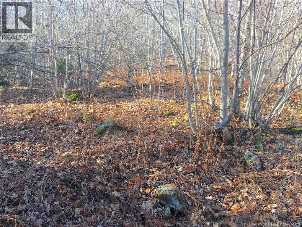 Norton Shore Property Photo 10