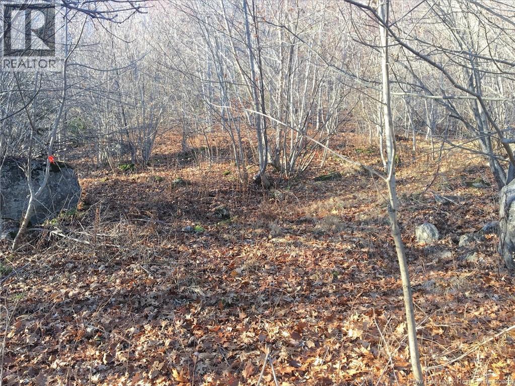 Norton Shore Property Photo 11