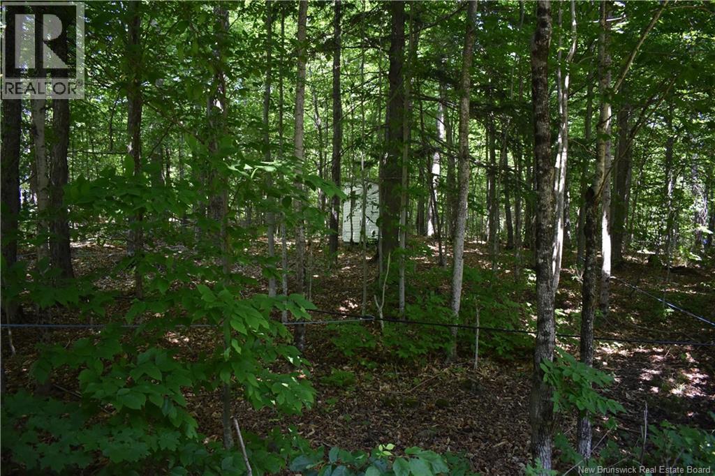 344 Route 575 Property Photo 39