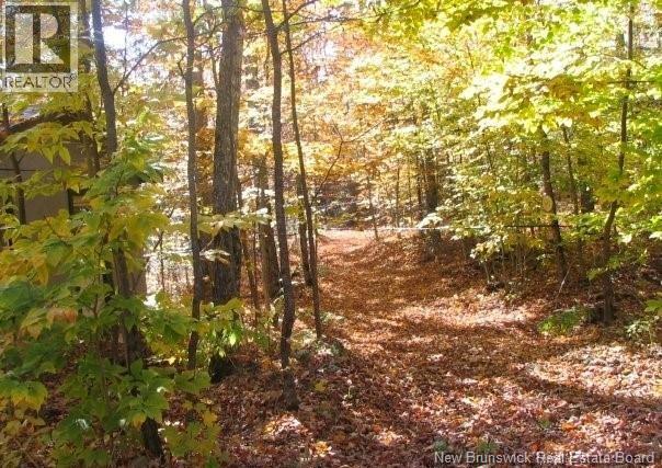 344 Route 575 Property Photo 33