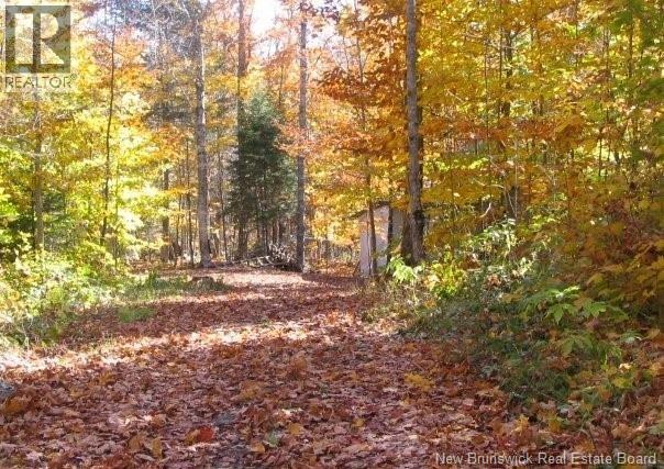 344 Route 575 Property Photo 34