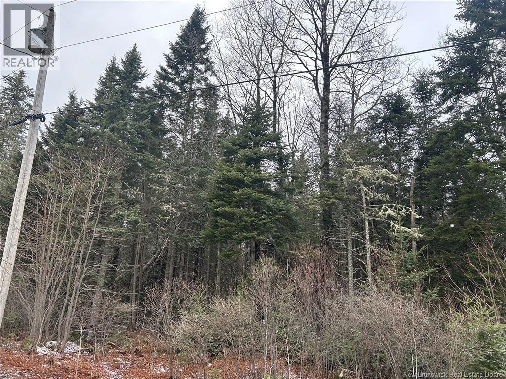 Lot 26-4 Backland Property Photo 1