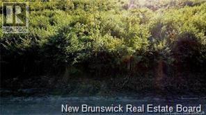 6 Tay Falls Road Property Photo 2