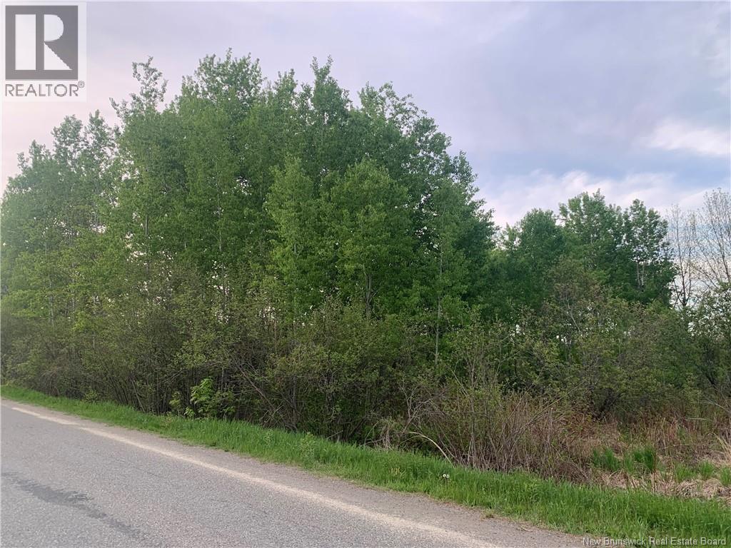 Land Route 122 Property Photo 3