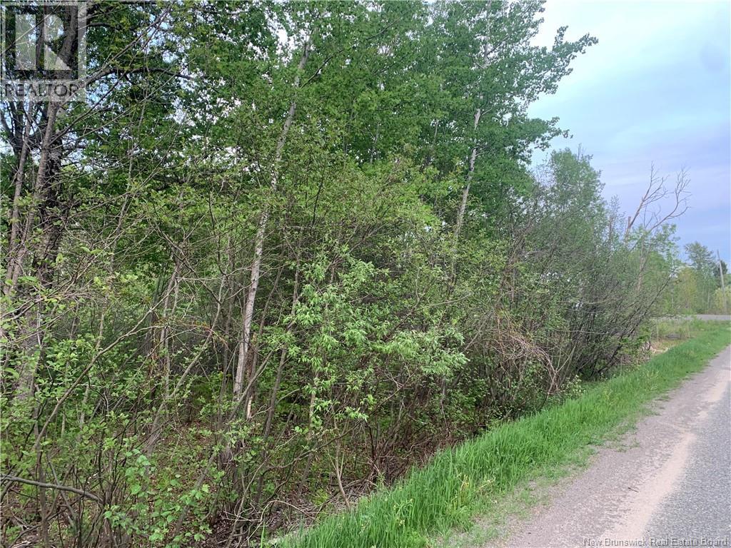 Land Route 122 Property Photo 4