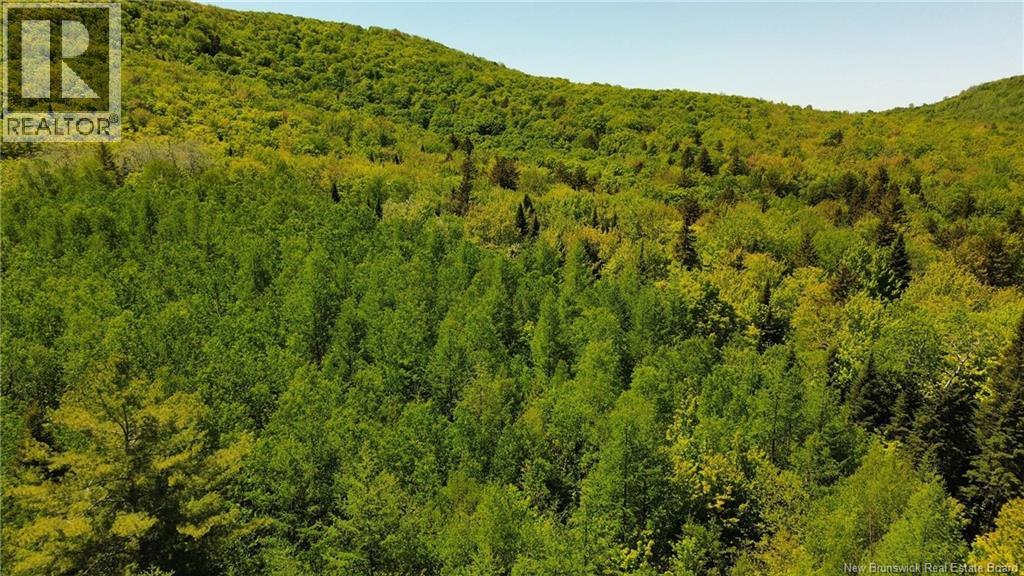 Lot Kintore Road Property Photo 12