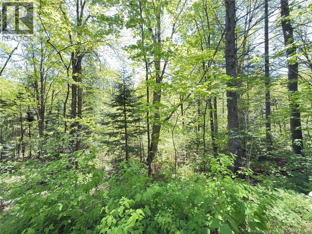 Lot Kintore Road Property Photo 13