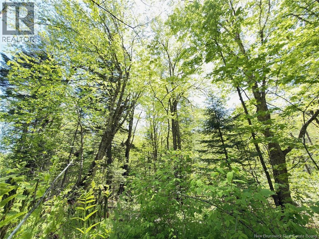 Lot Kintore Road Property Photo 15