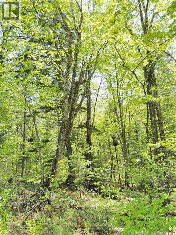 Lot Kintore Road Property Photo 16