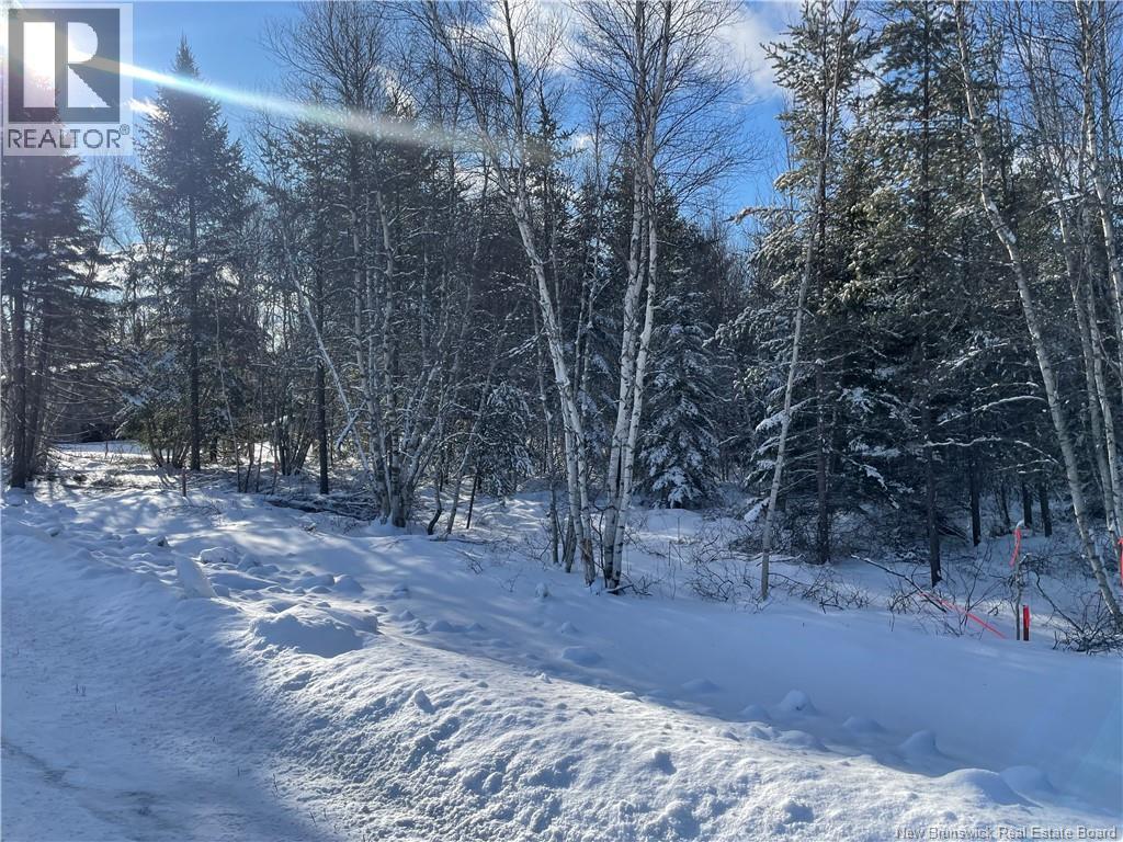 Lot 74-6 Honey Street