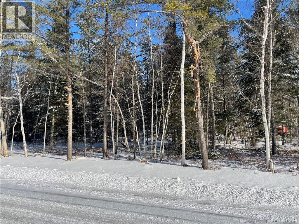 Lot 74-17 Honey Street Property Photo 1