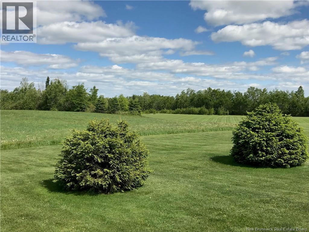 100 Mcelroy Road Property Photo 12
