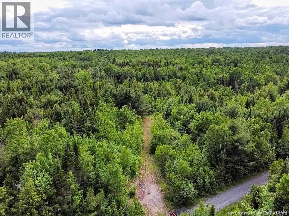 Lot Rear Hwy 101 New Maryland Property Photo 1