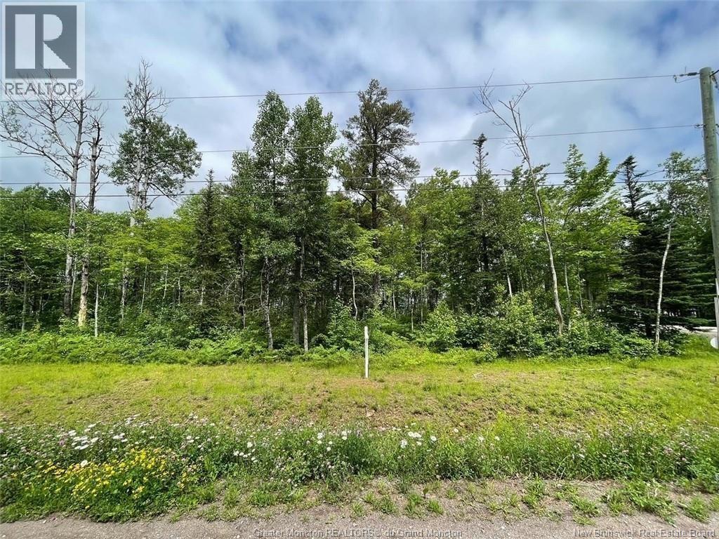 Lot 22-1 Jason Street Property Photo 1