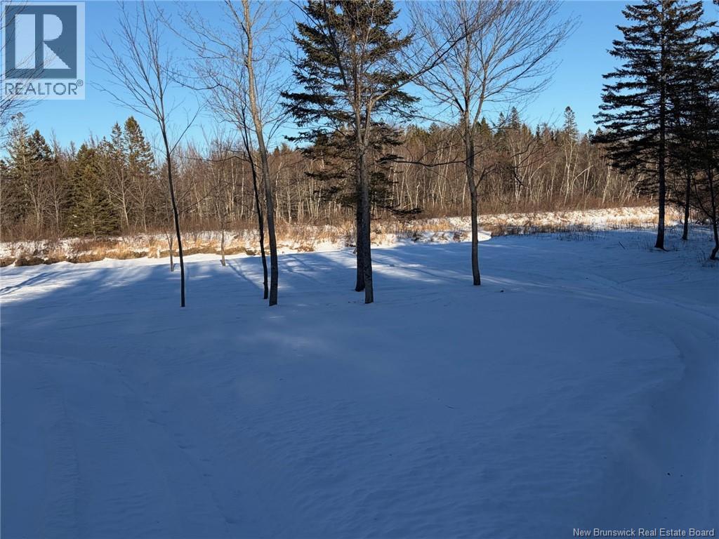 00-2 Reardon Road Property Photo 10