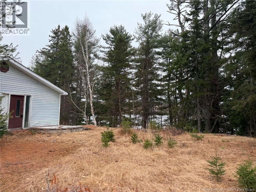 286 River Road Property Photo 28