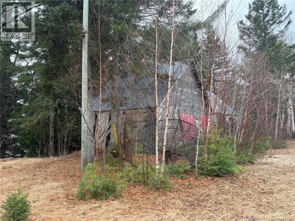 286 River Road Property Photo 31