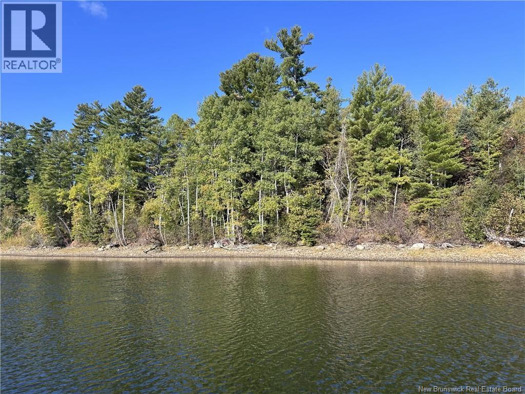 6.58 Acres Route 108 Property Photo 8
