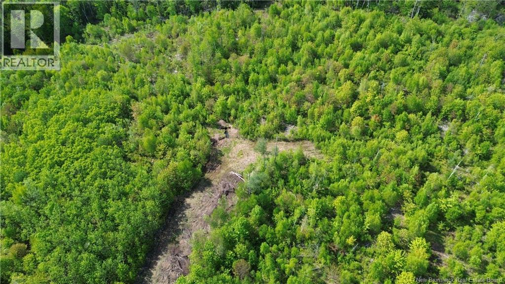 1392 Route 870 Property Photo 12