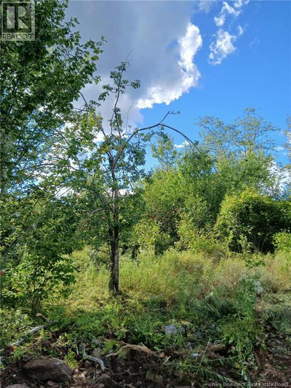 1392 Route 870 Property Photo 20