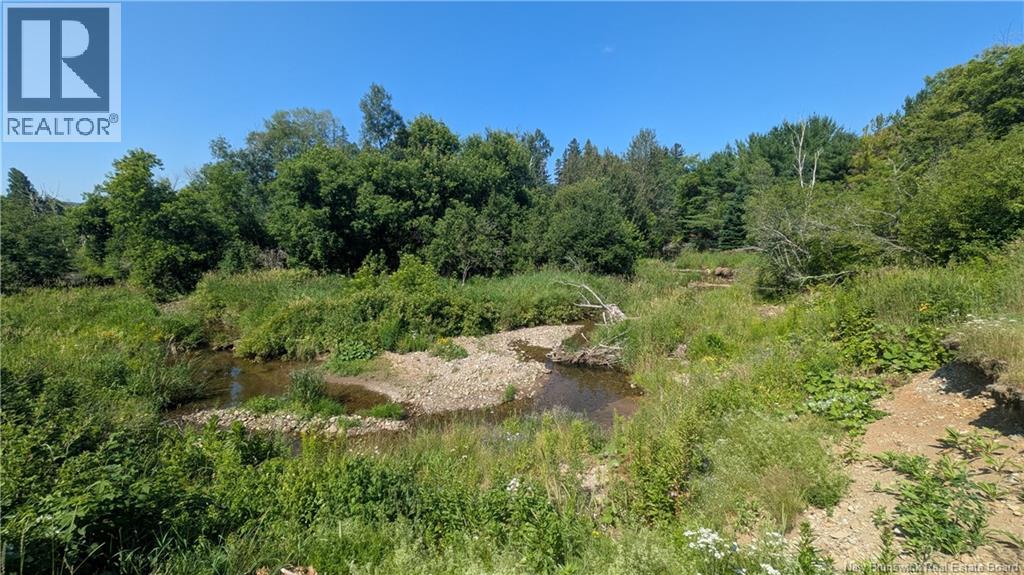1874 Route 895 Property Photo 6