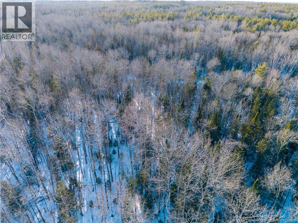 99-19 Route 8 Property Photo 14