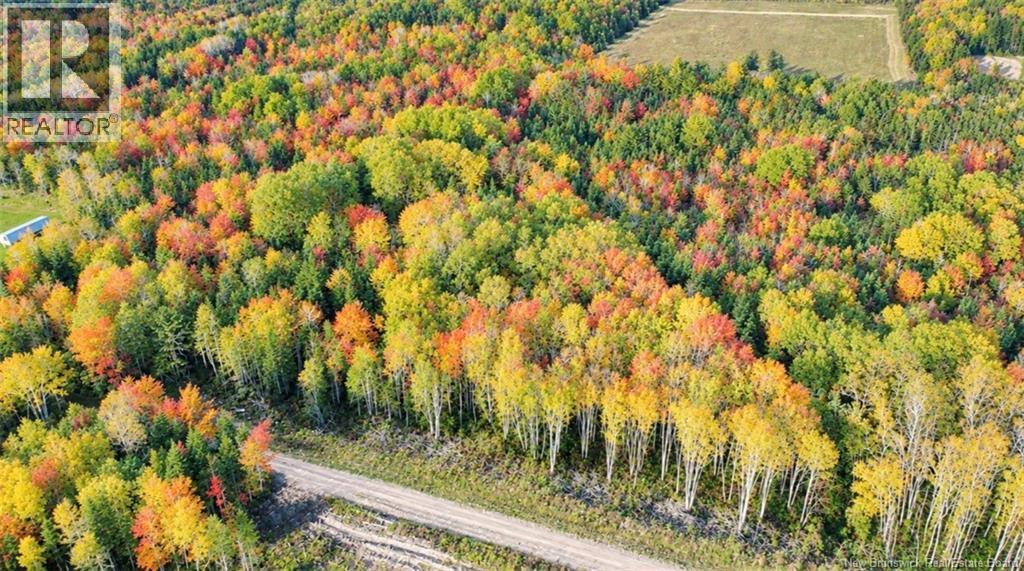 Lot 21-06 Haut Saint-Antoine Road Property Photo 1