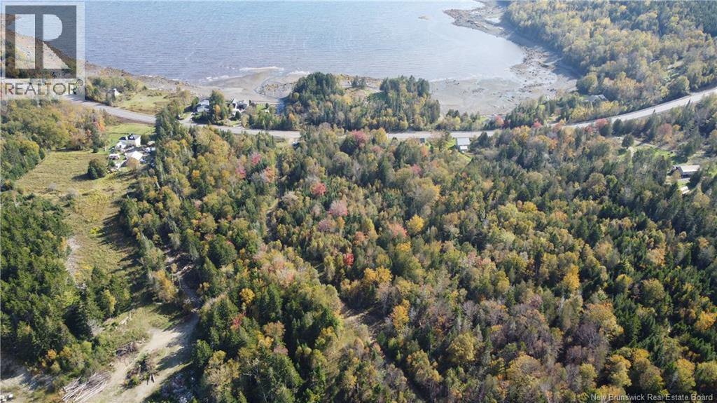 Lot 3 And 4 Route 127 Property Photo 4