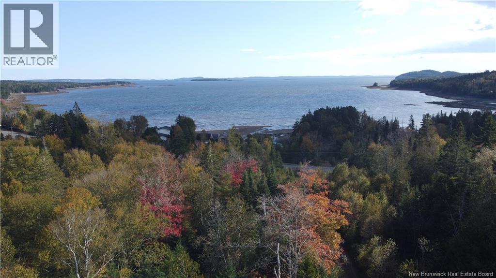 Lot 3 And 4 Route 127 Property Photo 11