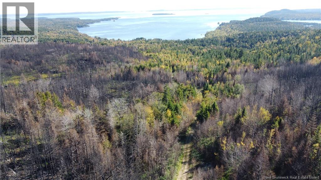 Lot 3 And 4 Route 127 Property Photo 13