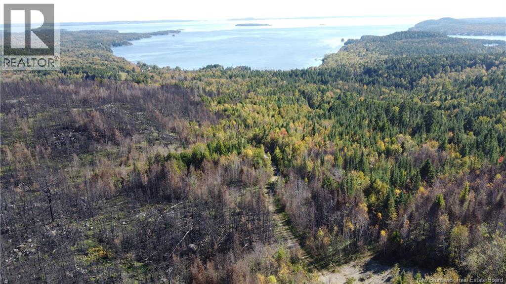 Lot 3 And 4 Route 127 Property Photo 14