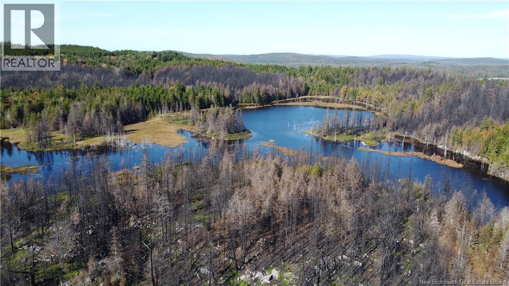 Lot 3 And 4 Route 127 Property Photo 15