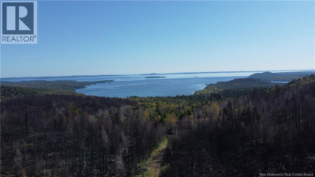 Lot 3 And 4 Route 127 Property Photo 16