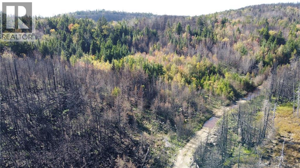 Lot 3 And 4 Route 127 Property Photo 17