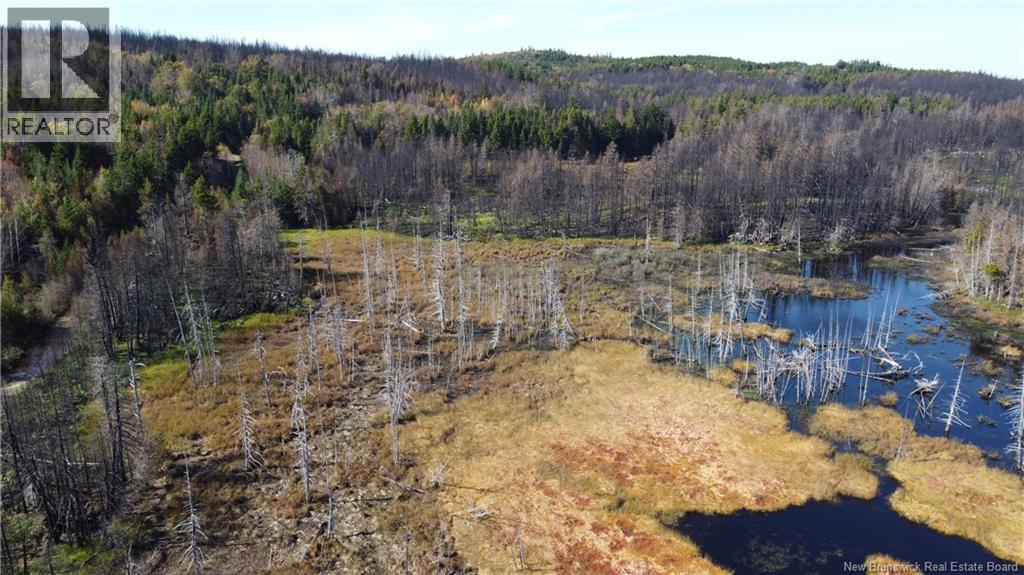 Lot 3 And 4 Route 127 Property Photo 18