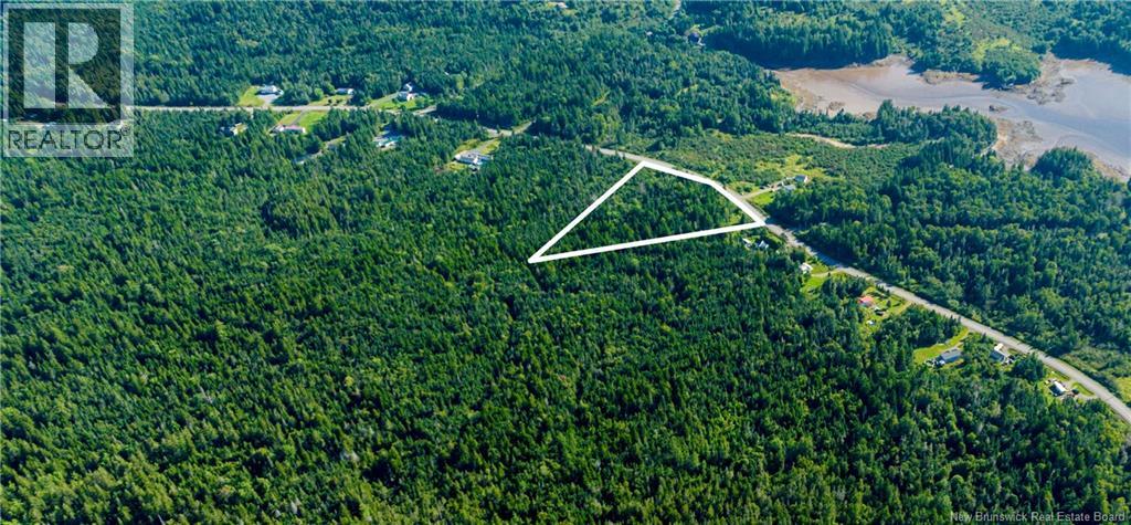 Lot 3 Route 172 Property Photo 3