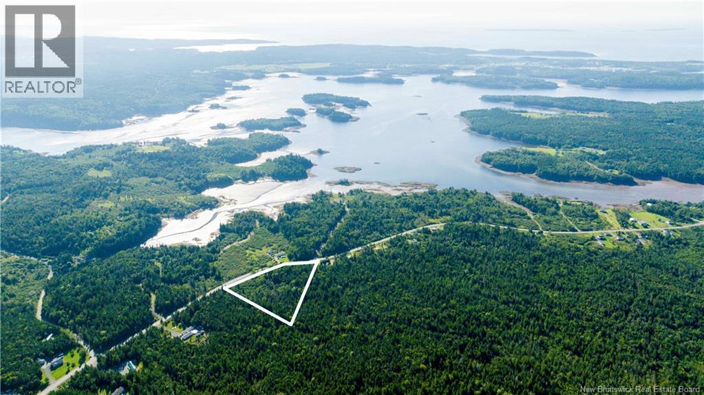 Lot 3 Route 172 Property Photo 4