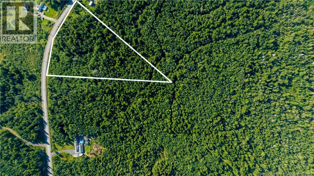 Lot 3 Route 172 Property Photo 7