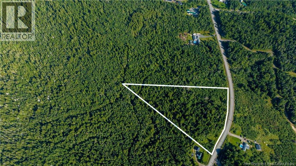 Lot 3 Route 172 Property Photo 8