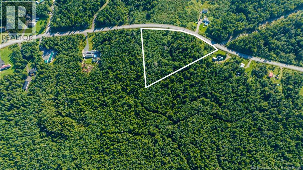Lot 3 Route 172 Property Photo 9