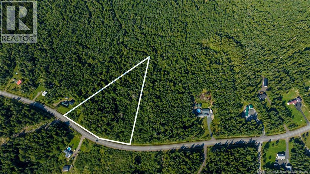 Lot 3 Route 172 Property Photo 10