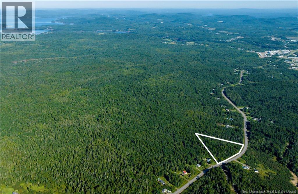 Lot 3 Route 172 Property Photo 11