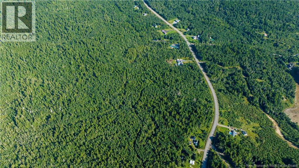 Lot 3 Route 172 Property Photo 22