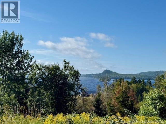 1191 137 Route 785 Property Photo 1